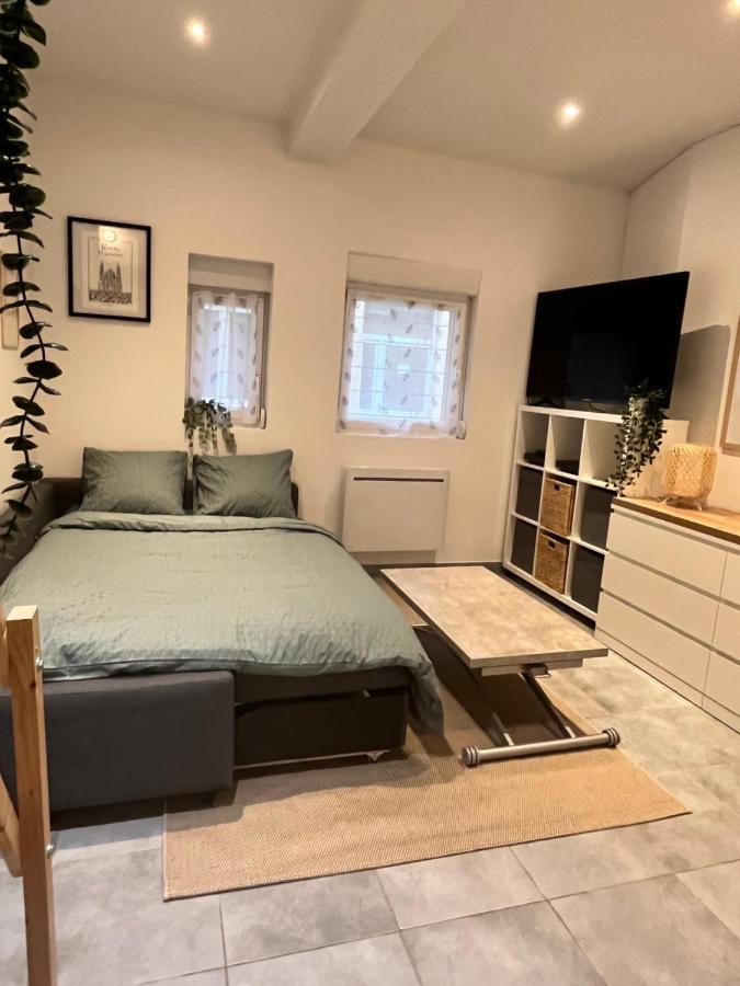 Le Remois Studio Cosy Hyper Centre Реймс Екстериор снимка